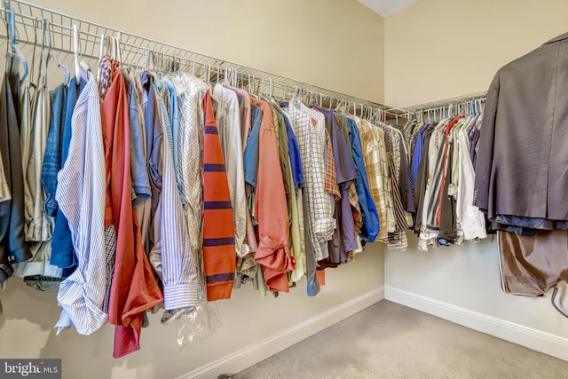 walk in closet featuring carpet floors