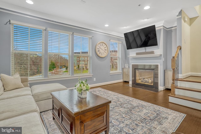 living room featuring dark hardwood / wood-style floors and ornamental molding