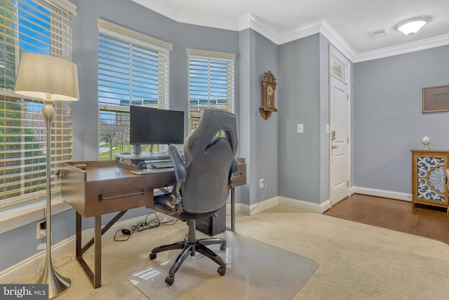 office area featuring carpet flooring and crown molding