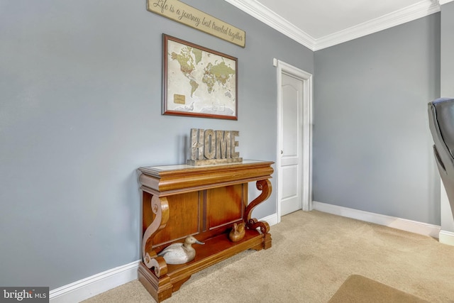 miscellaneous room featuring carpet and ornamental molding