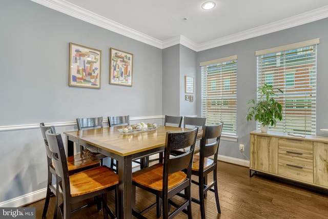 dining room featuring plenty of natural light, dark wood-type flooring, and ornamental molding