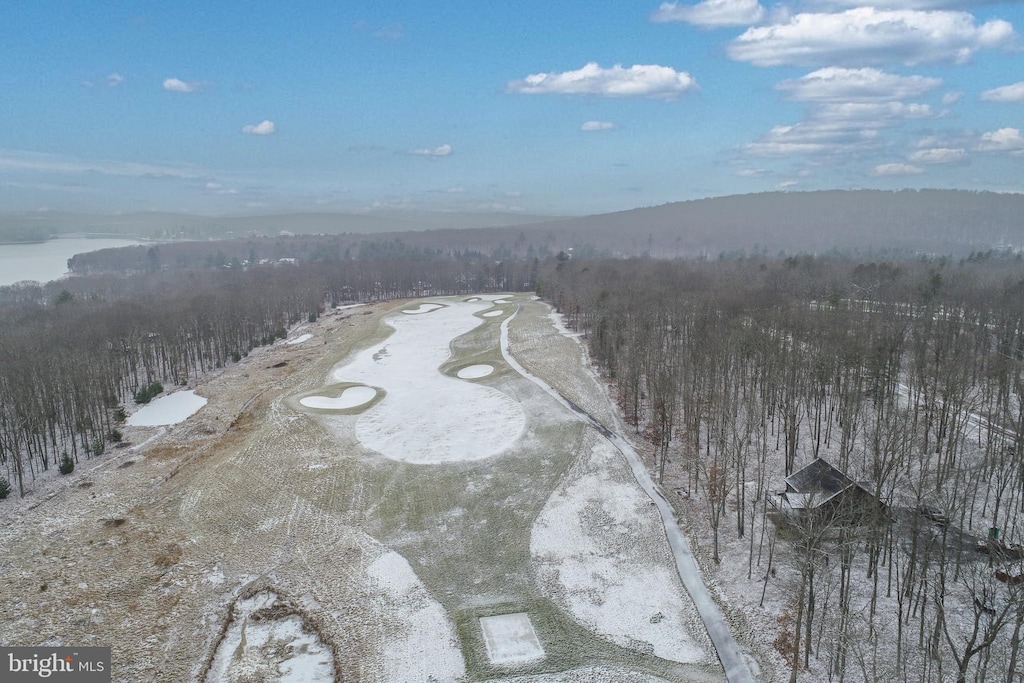 aerial view featuring a mountain view