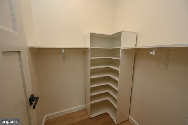 spacious closet featuring light wood finished floors