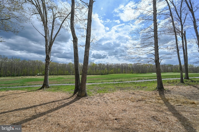 view of yard with a view of trees
