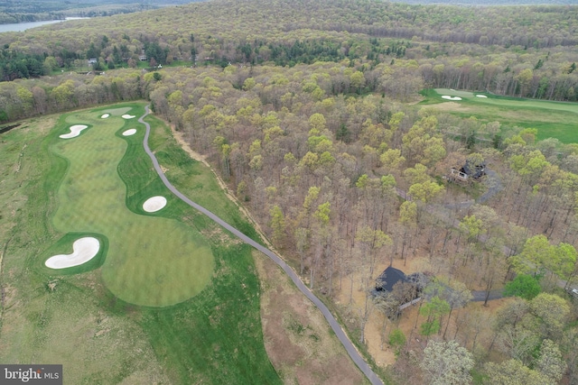 aerial overview of property's location with a forest and a golf course