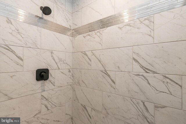 room details with tiled shower