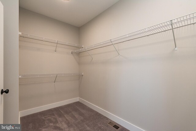 walk in closet featuring dark carpet