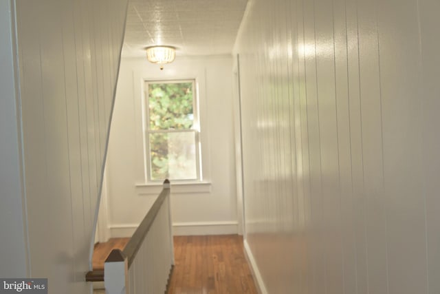 hall with hardwood / wood-style flooring and wood walls