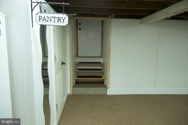 basement featuring carpet