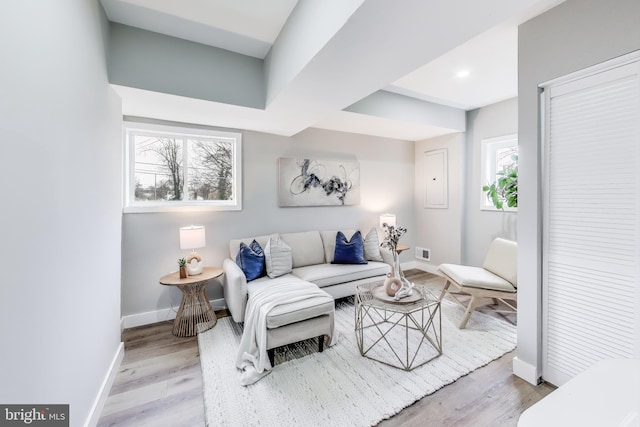 living room featuring light hardwood / wood-style flooring and a healthy amount of sunlight