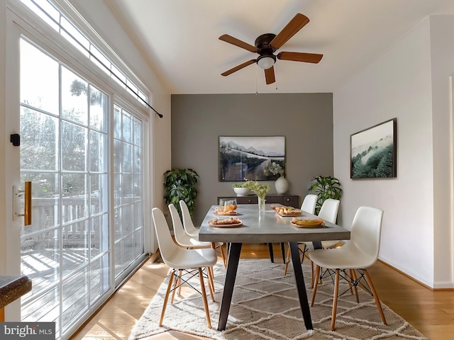 dining area with ceiling fan and light hardwood / wood-style flooring