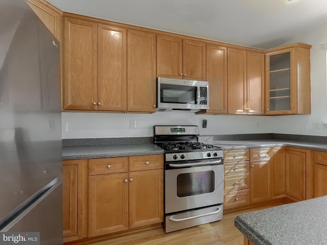 kitchen with light hardwood / wood-style floors and stainless steel appliances