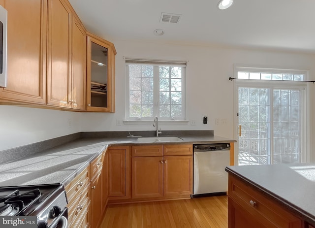 kitchen featuring a healthy amount of sunlight, sink, stainless steel dishwasher, and light wood-type flooring