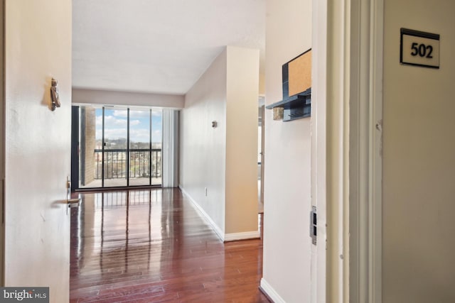 hall with hardwood / wood-style floors