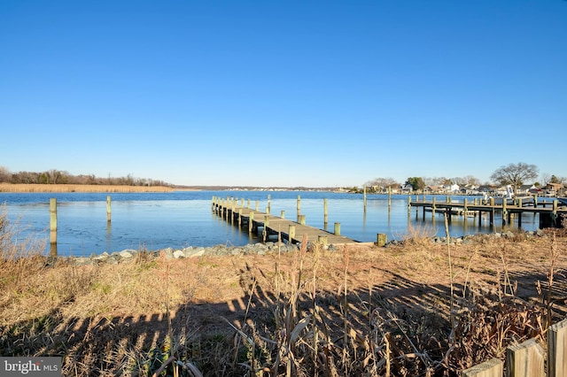 dock area with a water view