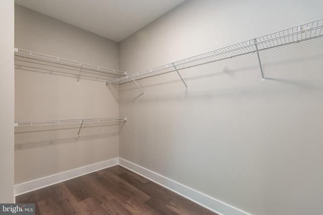 spacious closet with dark hardwood / wood-style flooring