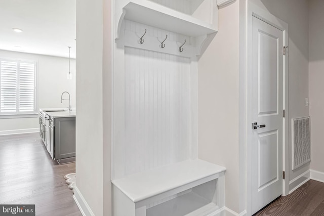 mudroom featuring sink and dark wood-type flooring