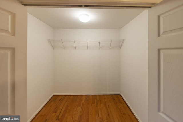 spacious closet with hardwood / wood-style floors