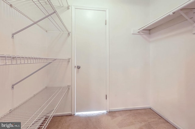 spacious closet with light carpet