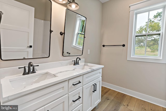 bathroom with wood-type flooring and vanity