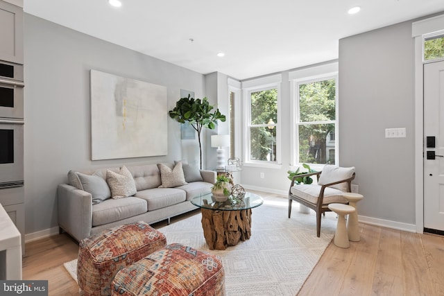 living room with light hardwood / wood-style flooring