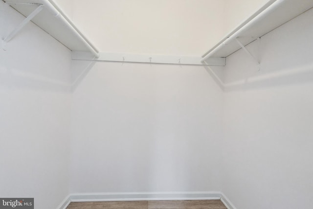 walk in closet featuring hardwood / wood-style floors