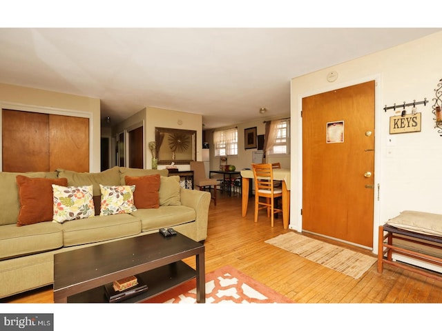 living room with hardwood / wood-style flooring