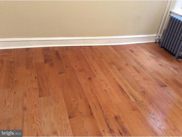 interior details with wood-type flooring and radiator