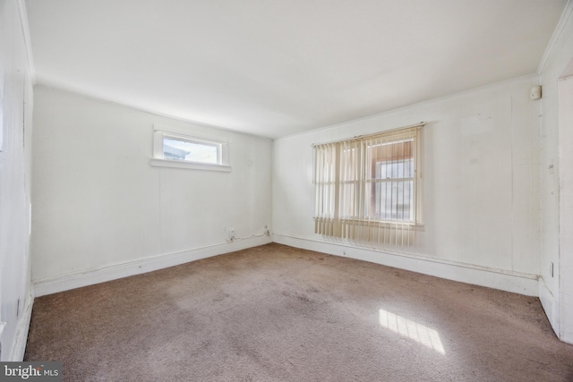 unfurnished room with crown molding and carpet