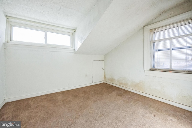 bonus room featuring lofted ceiling, a textured ceiling, and carpet