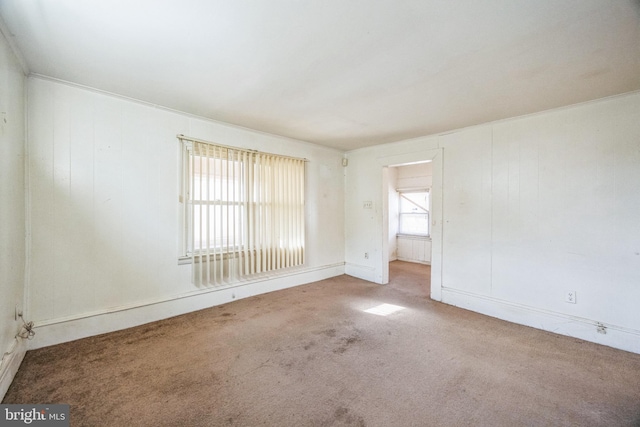 empty room featuring carpet