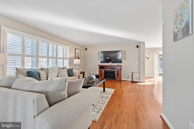 living room featuring light hardwood / wood-style flooring