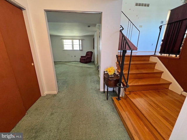 staircase with carpet flooring