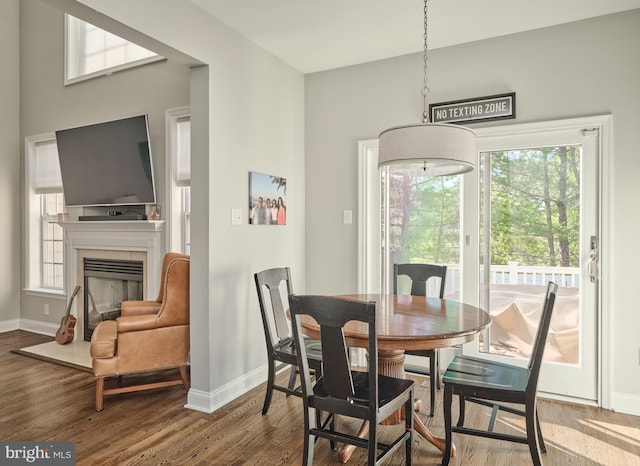 dining space featuring a wealth of natural light and hardwood / wood-style flooring