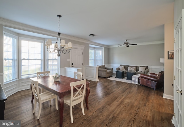 dining room with ceiling fan with notable chandelier, dark hardwood / wood-style floors, and crown molding