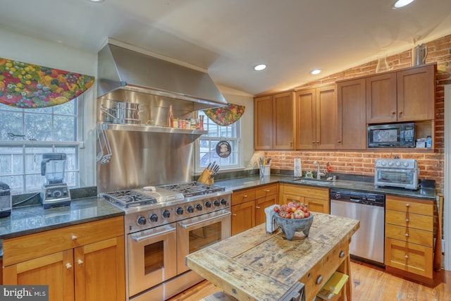 kitchen with a wealth of natural light, lofted ceiling, sink, and appliances with stainless steel finishes