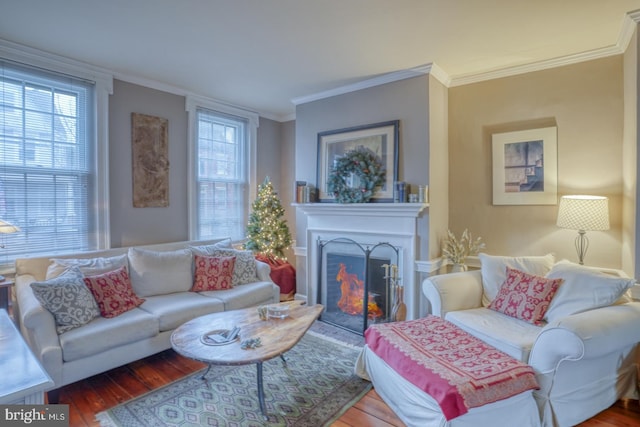 living room with wood-type flooring and ornamental molding