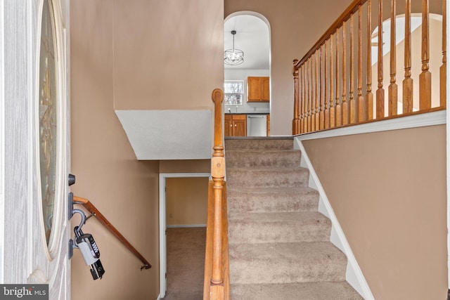 stairs with carpet flooring