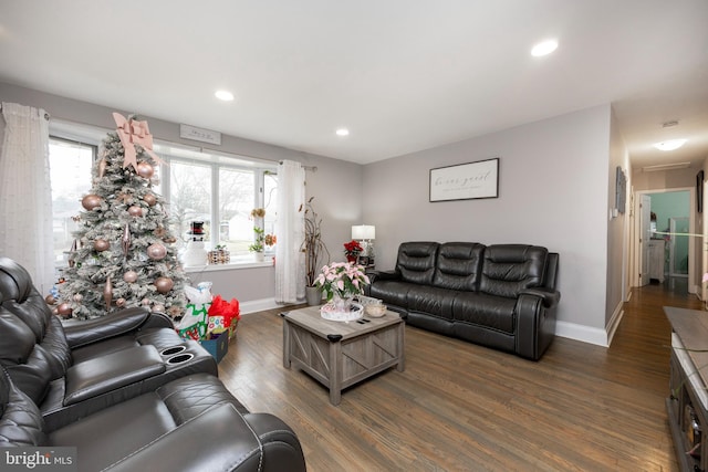 living room featuring dark wood-type flooring