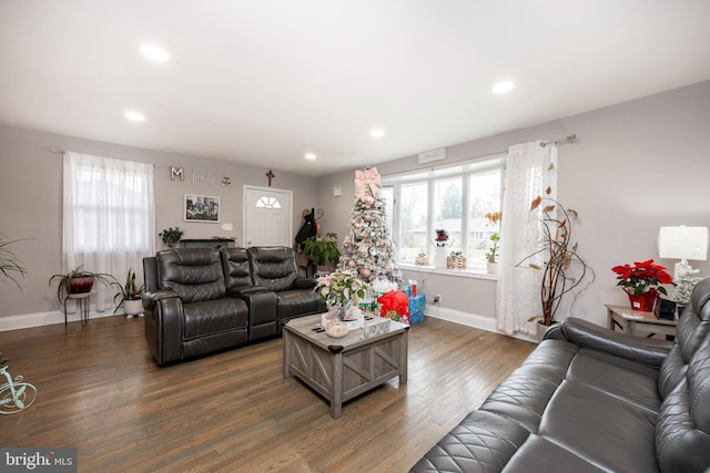 living room featuring dark hardwood / wood-style floors