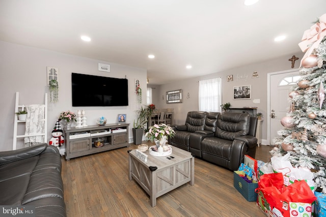 living room featuring dark hardwood / wood-style floors