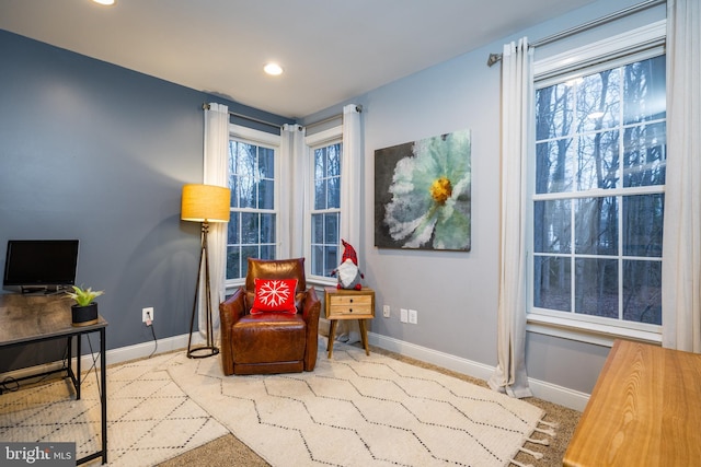 living area featuring light colored carpet