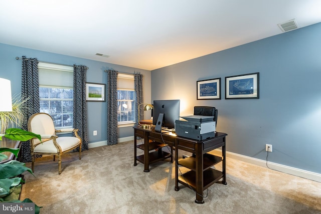 carpeted home office featuring a healthy amount of sunlight