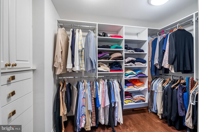 walk in closet with dark hardwood / wood-style flooring