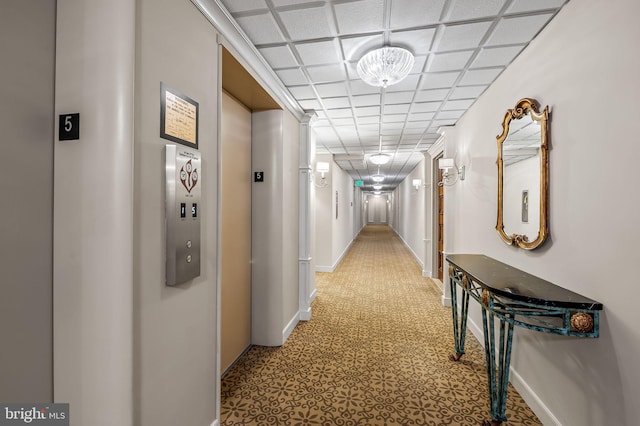 hallway with a paneled ceiling