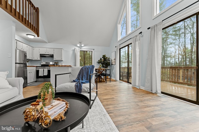 living room with light hardwood / wood-style floors and high vaulted ceiling