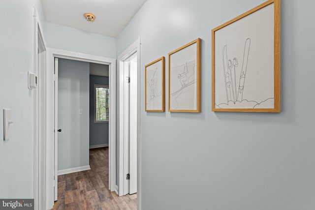 corridor featuring hardwood / wood-style floors