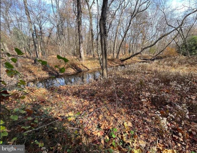 13 White Birch Trl, Medford, NJ 08055