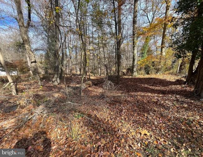 13 White Birch Trl, Medford, NJ 08055