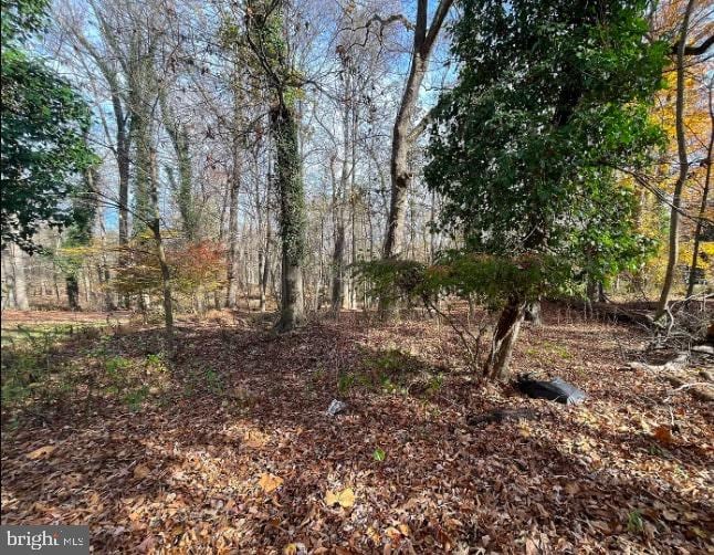 13 White Birch Trl, Medford, NJ 08055